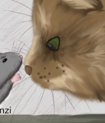 Film Katz und Maus